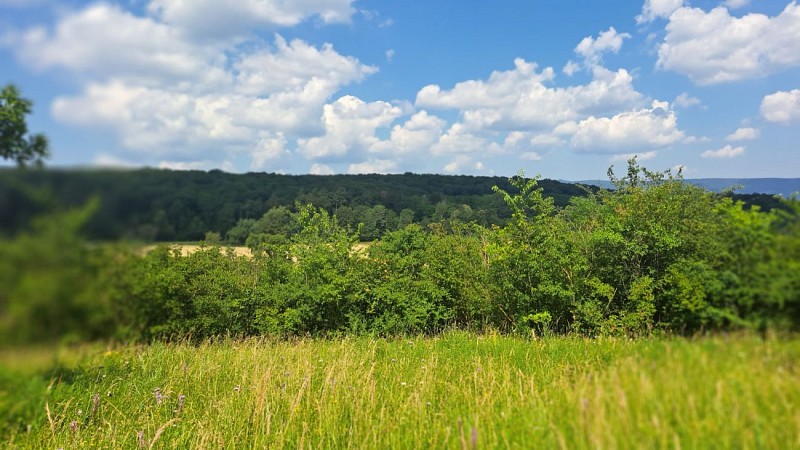 Naturschutzgebiet Wurmberg
