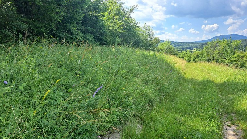 Naturschutzgebiet Wurmberg