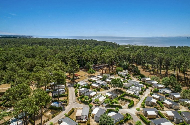 ©Les goélands - vue aérienne