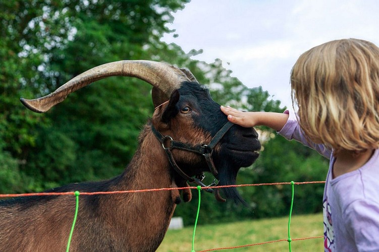 camping du moulin mini ferme MARTRES TOLOSANE