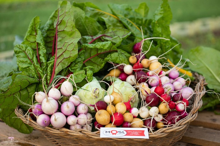 La ferme de Domangeville