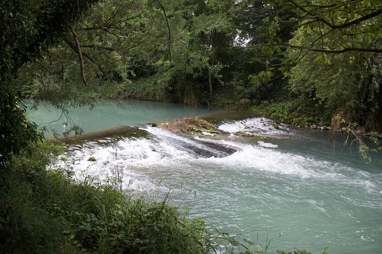 Réserve Naturelle Nationale du Haut Rhône Français