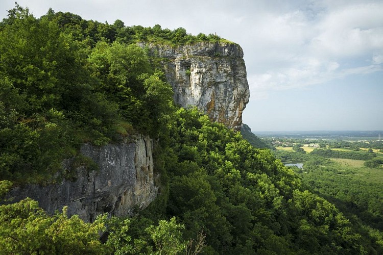 Plateau de Larina Sensitive Natural Area
