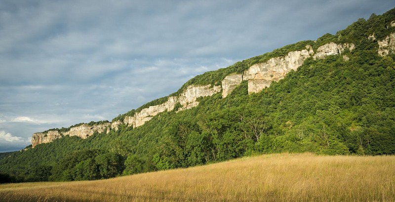 Plateau de Larina Sensitive Natural Area