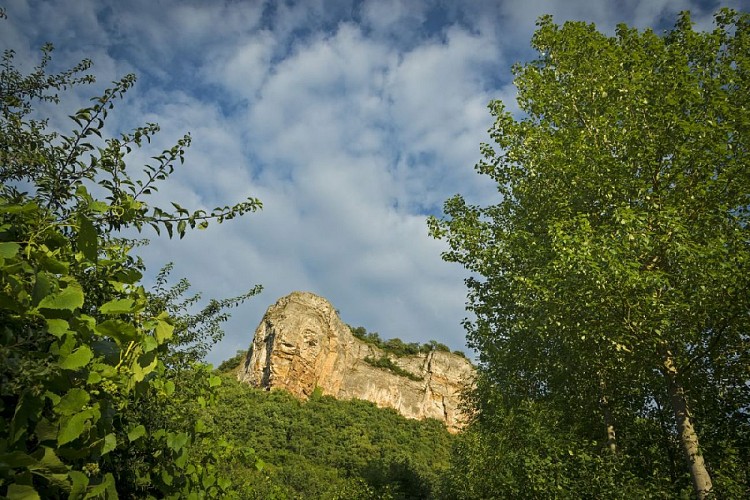 Plateau de Larina Sensitive Natural Area