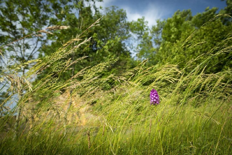 Espace Naturel Sensible Plateau de Larina