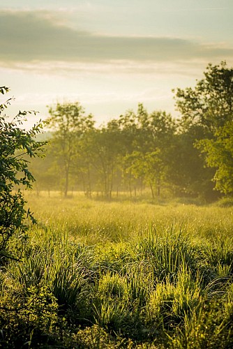 Espace Naturel Sensible du Marais de la Besseye