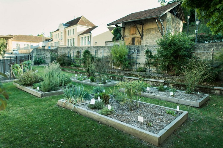 Saint-Chef, cité abbatiale