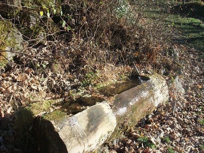 267024-11_H70G002784_584183e74a899_6