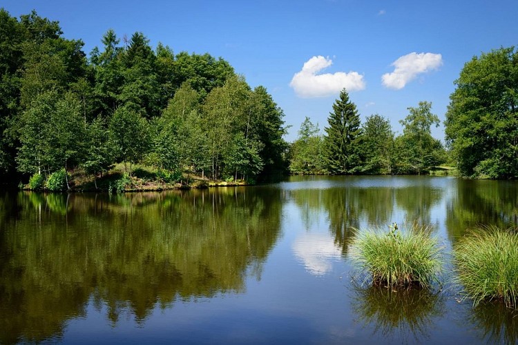 267024-18_H70G002784_584185e3354a3_8