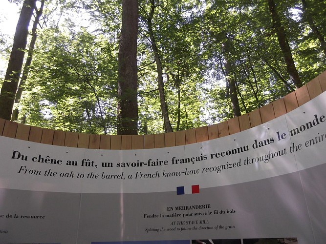 Futaie Colbert 2- Taransaud