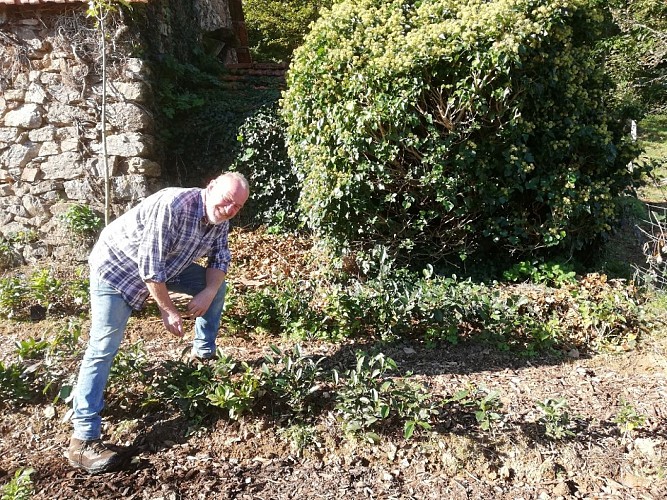 Thé 19 - Saint-Chamant 1_1