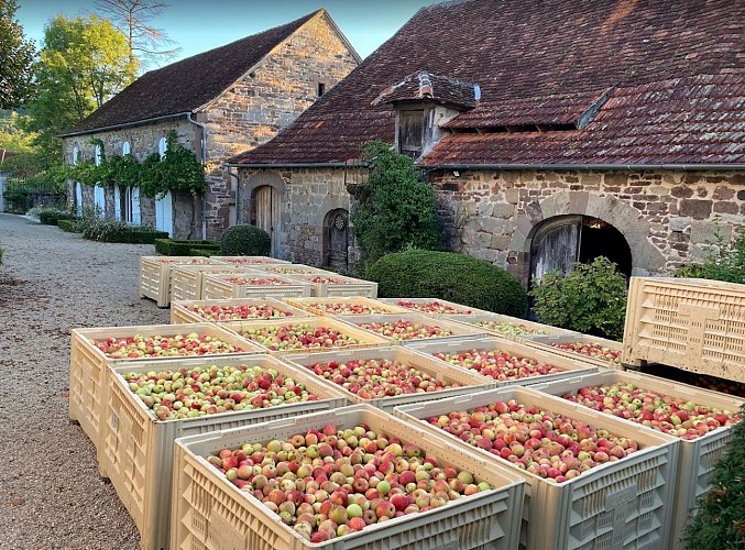 Pressoir Manoir St Bazile_1