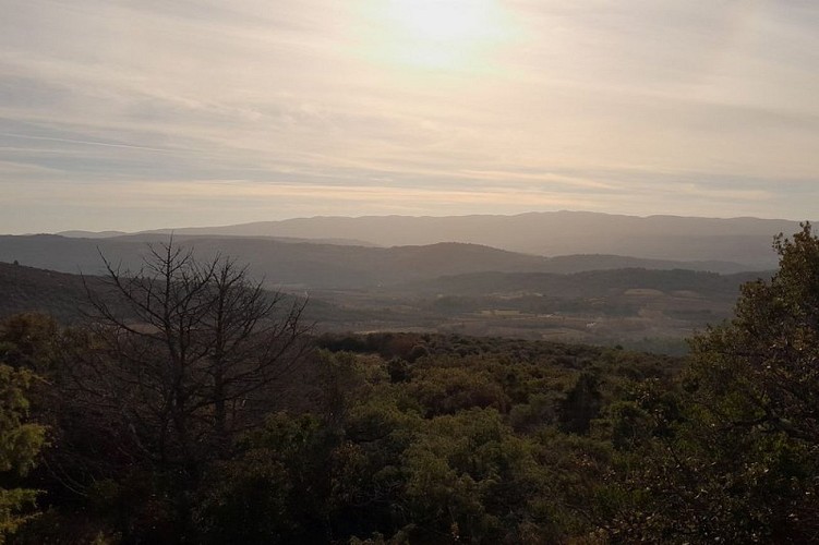 La Bruyère, Pied de Marc et Grand Luberon