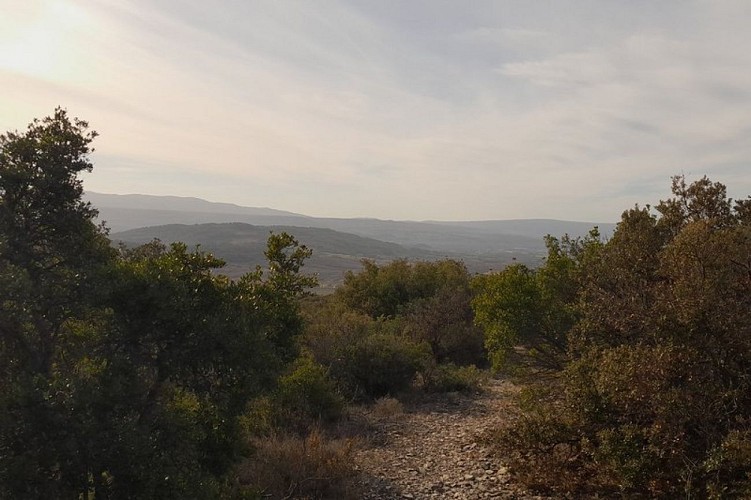 Colline des Puys, Claparèdes, combe de Lourmarin
