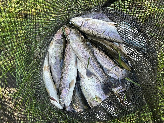 multipeche truites-S