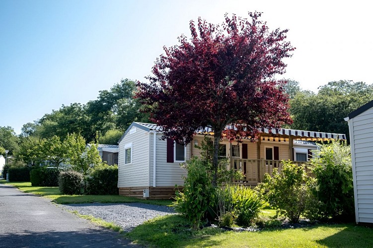 Camping Bois et Marais à Touffreville 