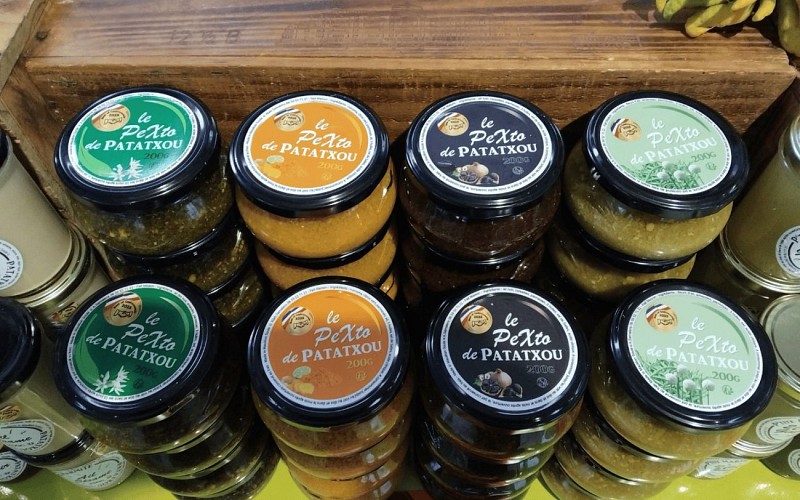 GABARIT TOURINSOFT - 1440 x 900 px - 1