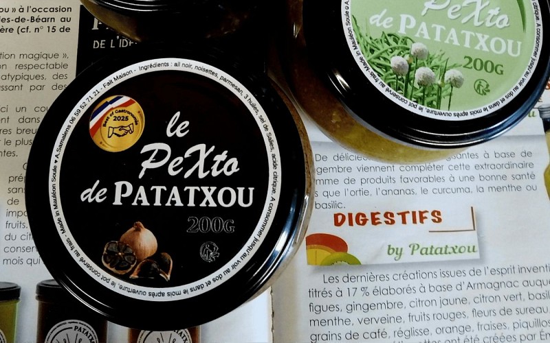 GABARIT TOURINSOFT - 1440 x 900 px - 1