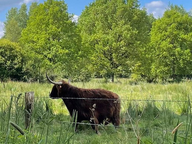 La-Corbiere-Menil-de-Briouze