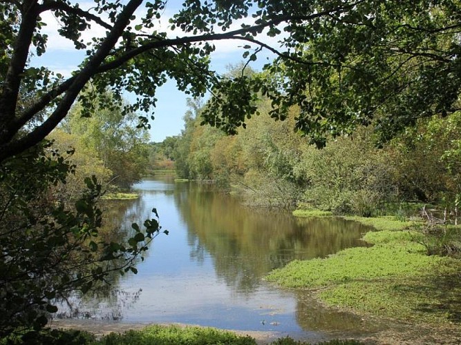 Chambre d'hôtes La Corbière