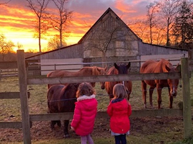 La-Corbiere-gite-4-Menil-de-Briouze-800
