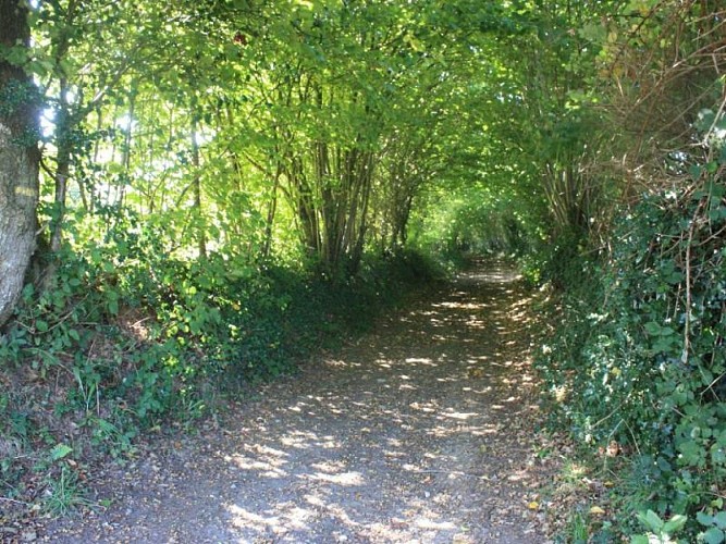 La-Corbiere-gite-Menil-de-Briouze