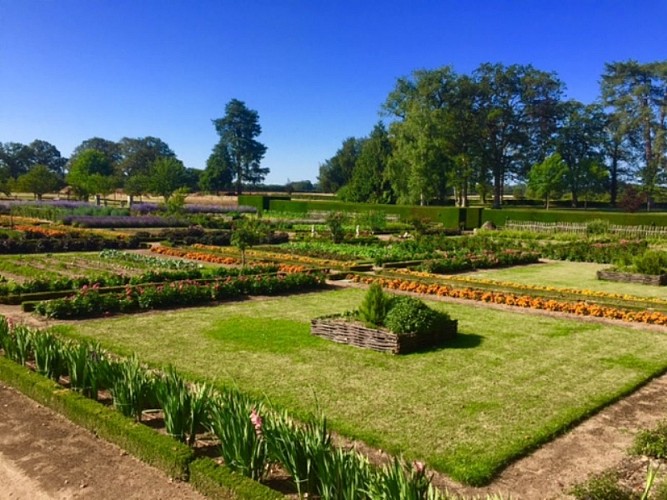 La Motte-Feuilly-jardin-potager
