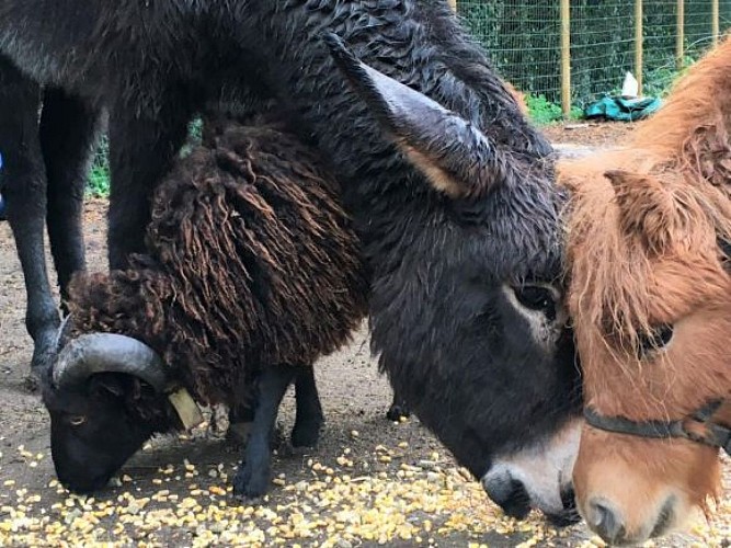 Ferme pédagogique Agri'Kids