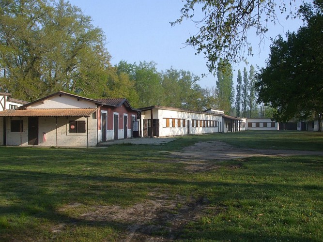 DSCF0880--1600x1200-