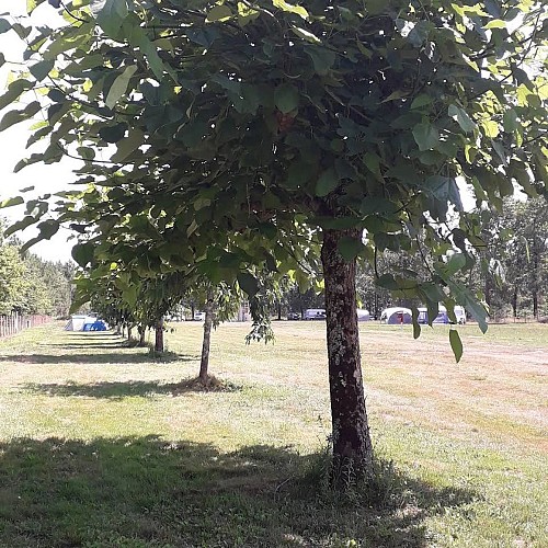 AIRE NATURELLE DE CAMPING LES NOISETIERS