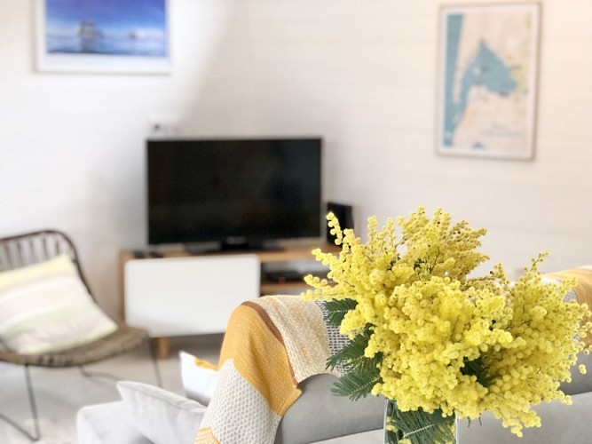 Villa Socorro 5 redi