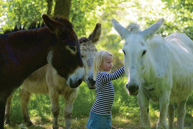 Ferme pédagogique Les Anes de Vassivière
