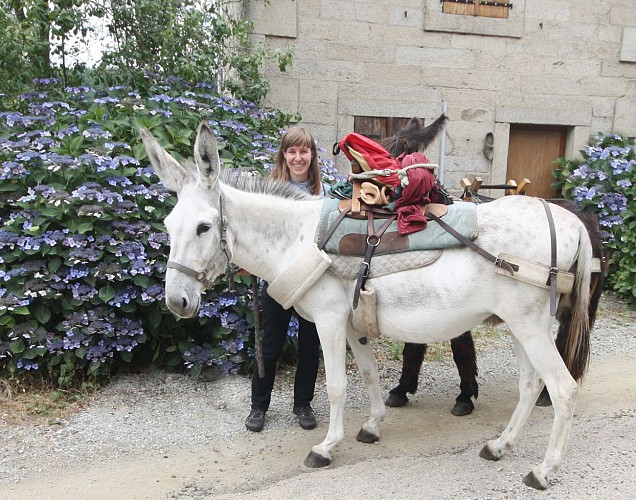 Ferme pédagogique Les Anes de Vassivière