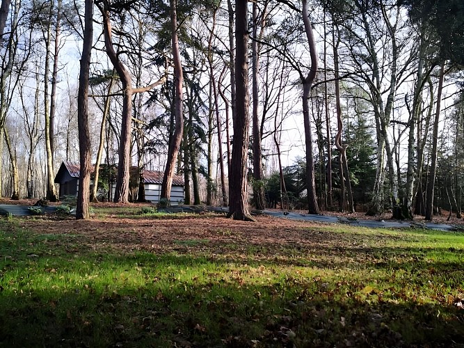 Gîte de la forêt vue sur le jardin