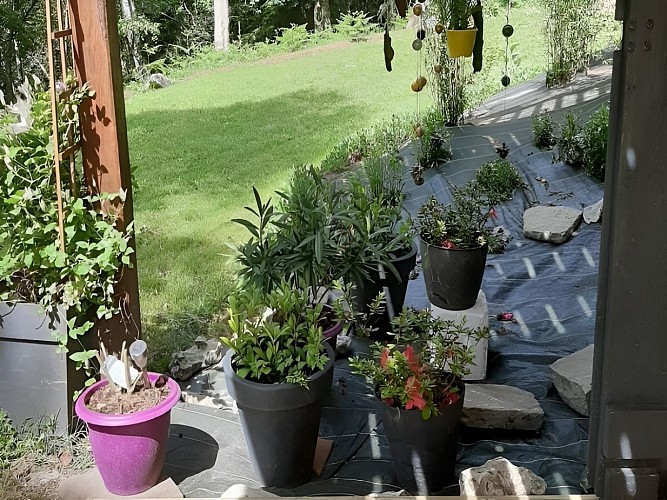 Gîte de la forêt terasse fleurie