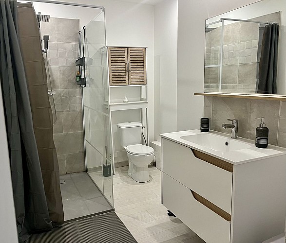 Salle de bain douche &amp; wc