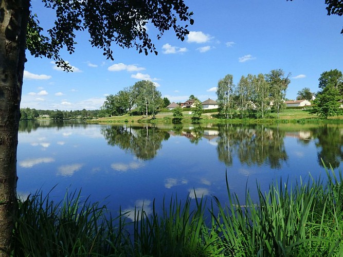 54255398_274117763539385_1095711238849036288_n