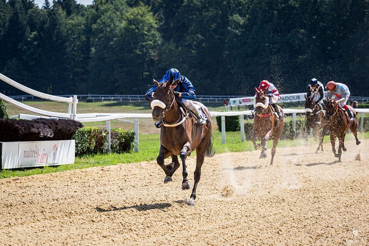 Courses hippiques - Pompadour ©Cris Bastiane - Web (7)