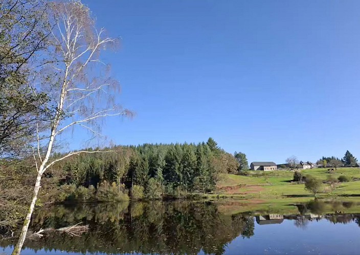 Capture-decran-2024-11-26-154843