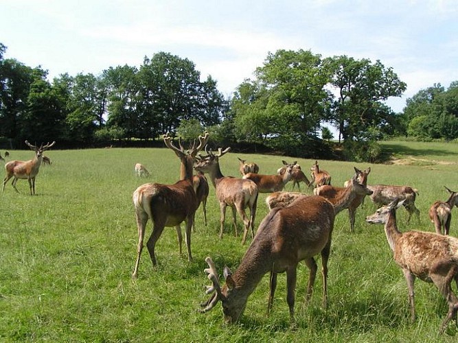 Ferme aux Cerfs