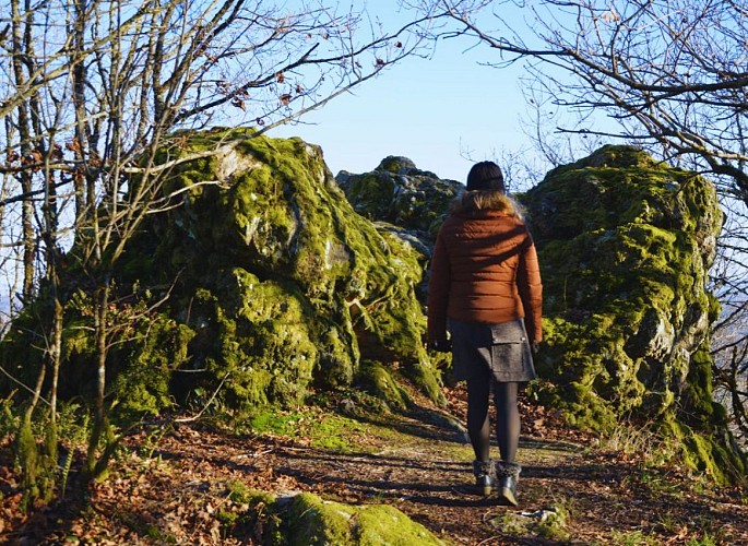 Point de vue - La Pierre Folle - Bussière-Galant