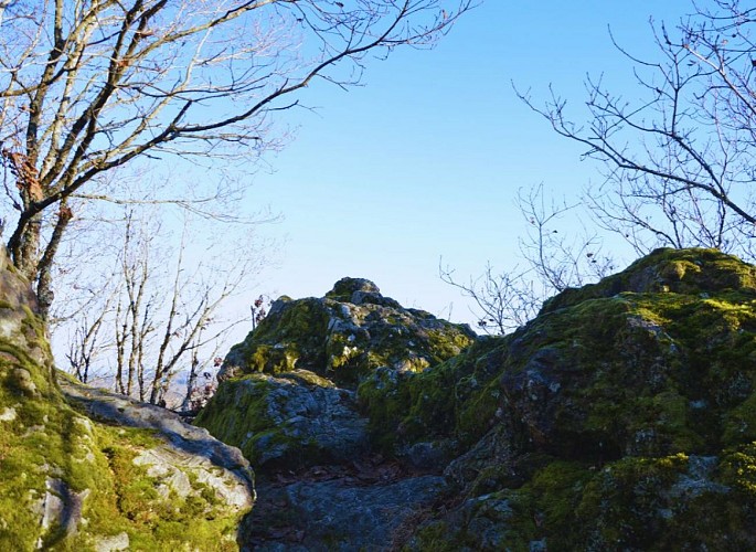 Point de vue - La Pierre Folle - Bussière-Galant