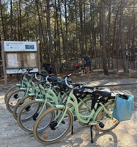 cb12d4c5-de64-415c-a3ef-1092e20ae332