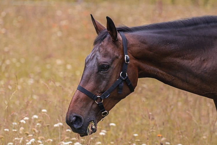 355231530_742566657667107_7967161250959178002_n.jpg_1