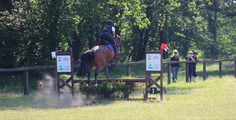 347105853_257021926814870_3314042181142192490_n.jpg_5