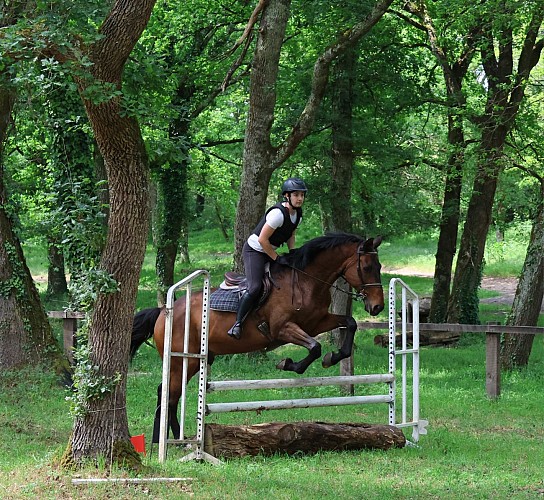 347568973_2005261036472138_174689071219606633_n.jpg_6