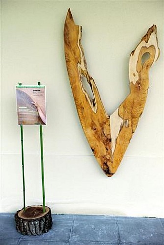 Villenave d'Ornon - Parc Sourreil