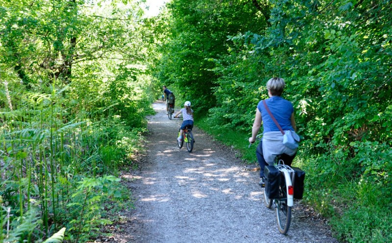 Bois du Dehes ©Ville du Haillan (2)
