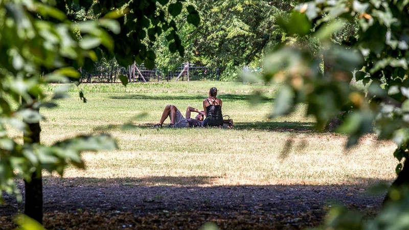 Parc-bordelais-David-Remazeilles-2